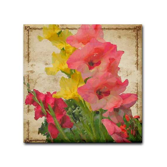 Gladiolus Enchantment – A Tribute to August’s Flower