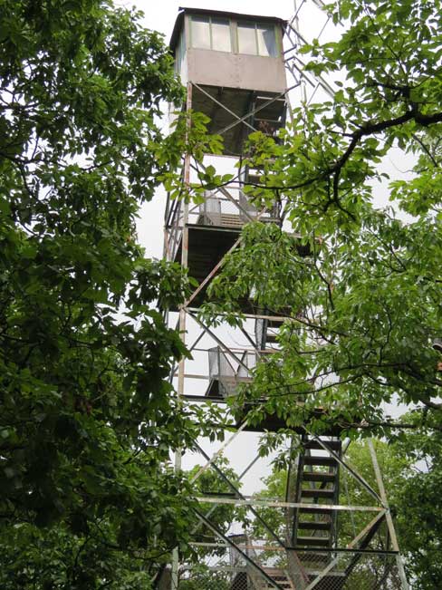 The Fire Tower