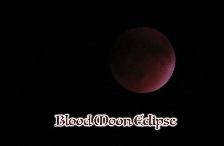 Blood Moon Eclipse