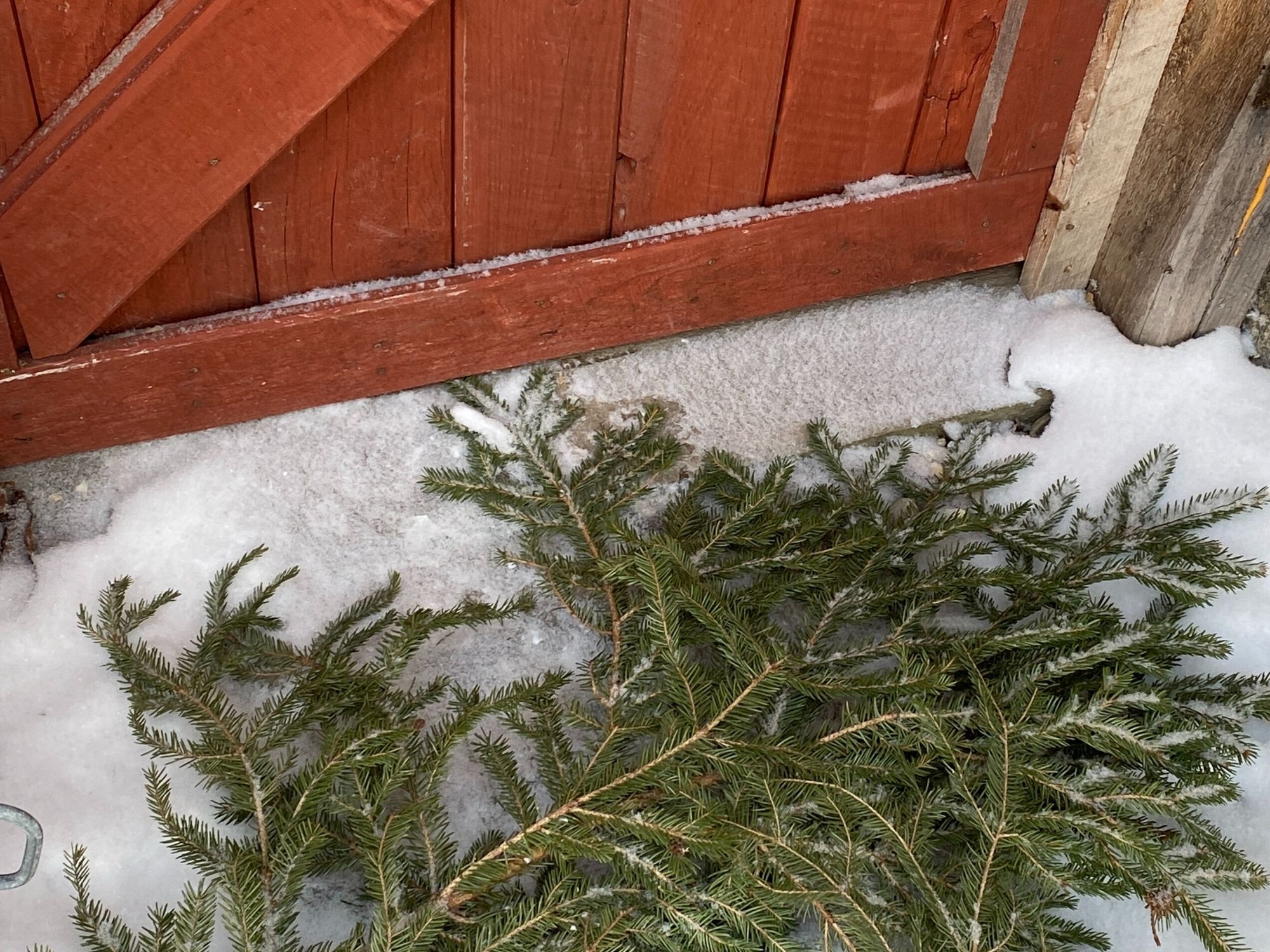 Fir Details