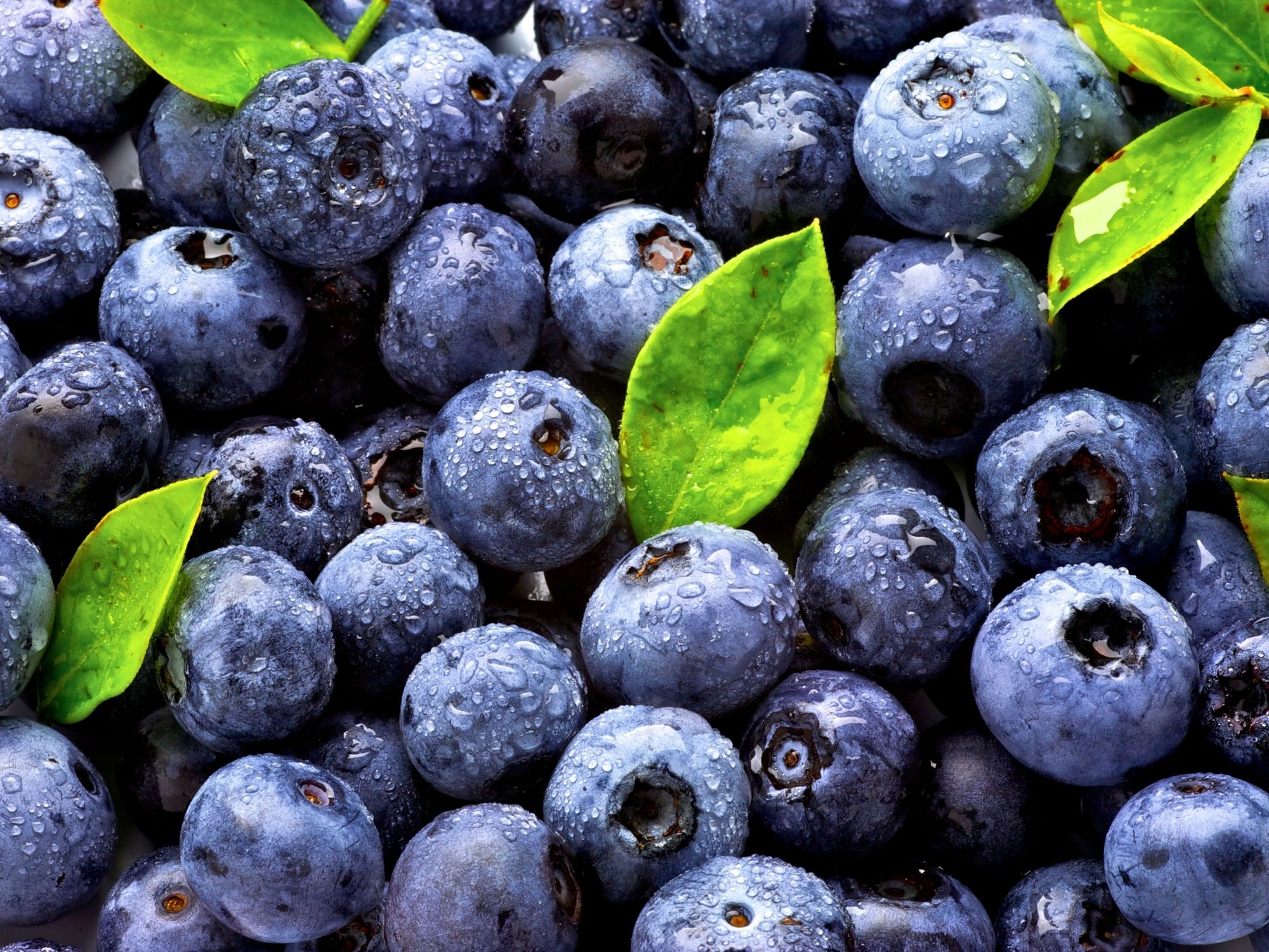 Blueberry Overnight Oats