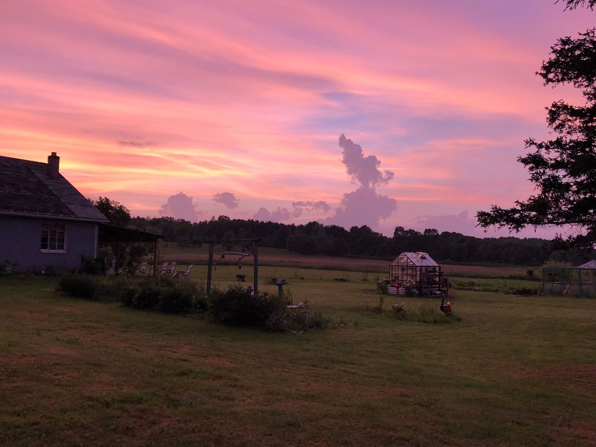 Purple Skies
