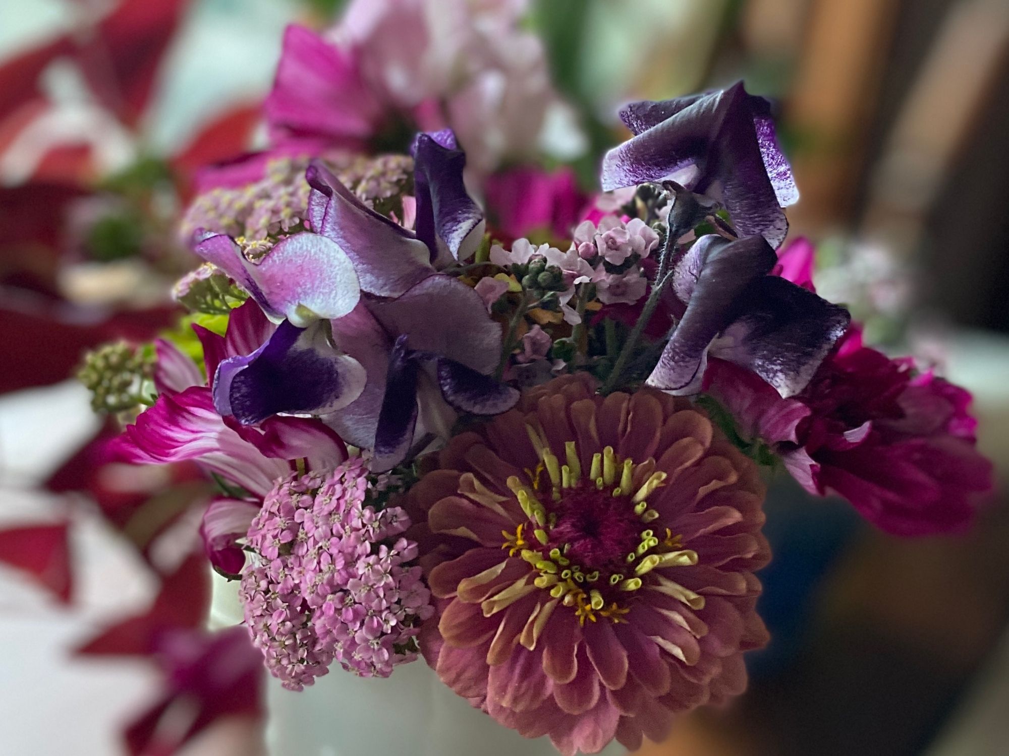 Poppies, Hydrangeas & Zinnias