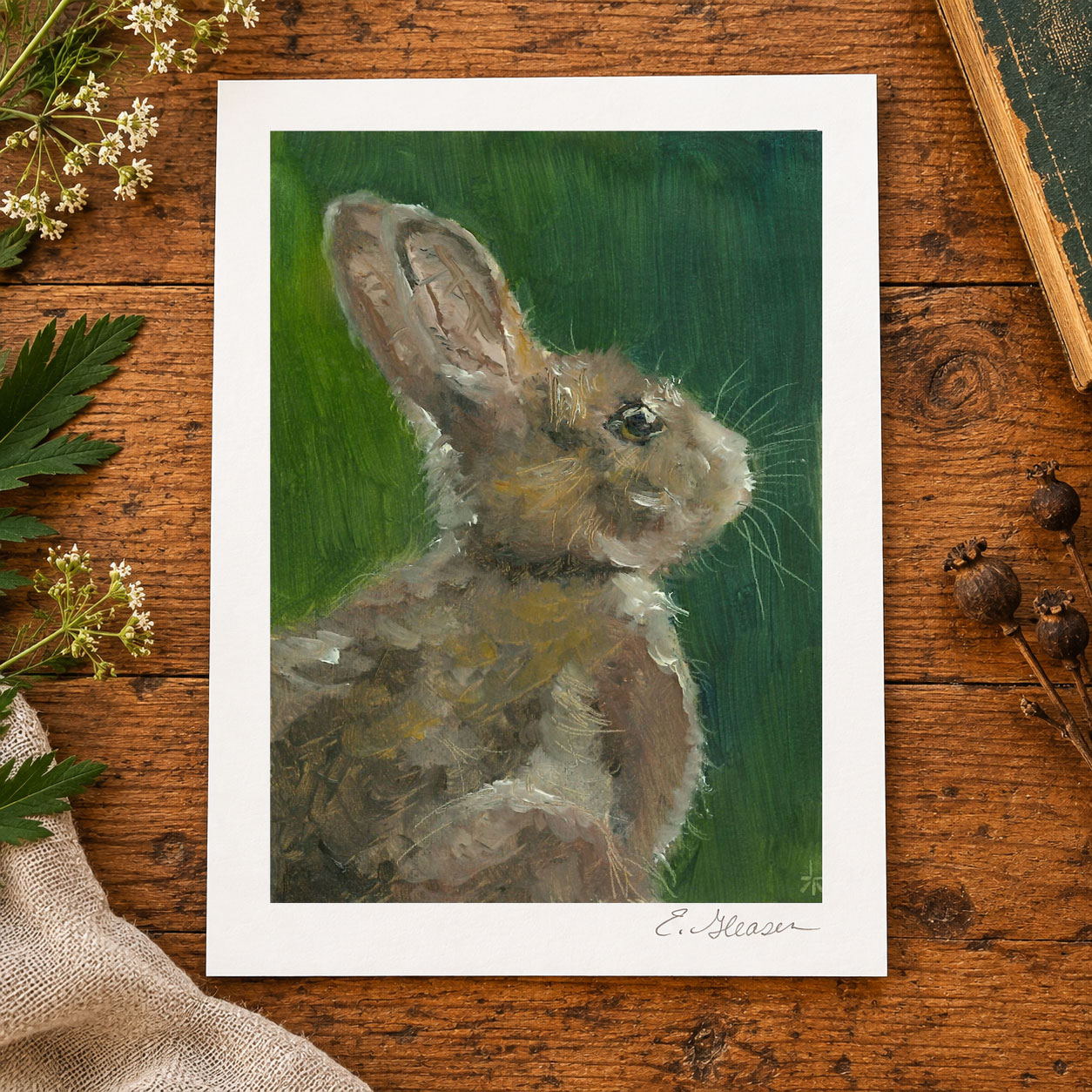 Alert Rabbit