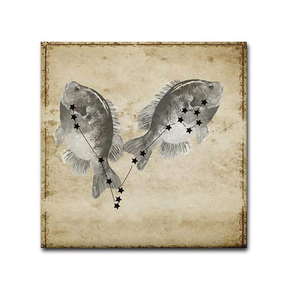 Enchantment Collection