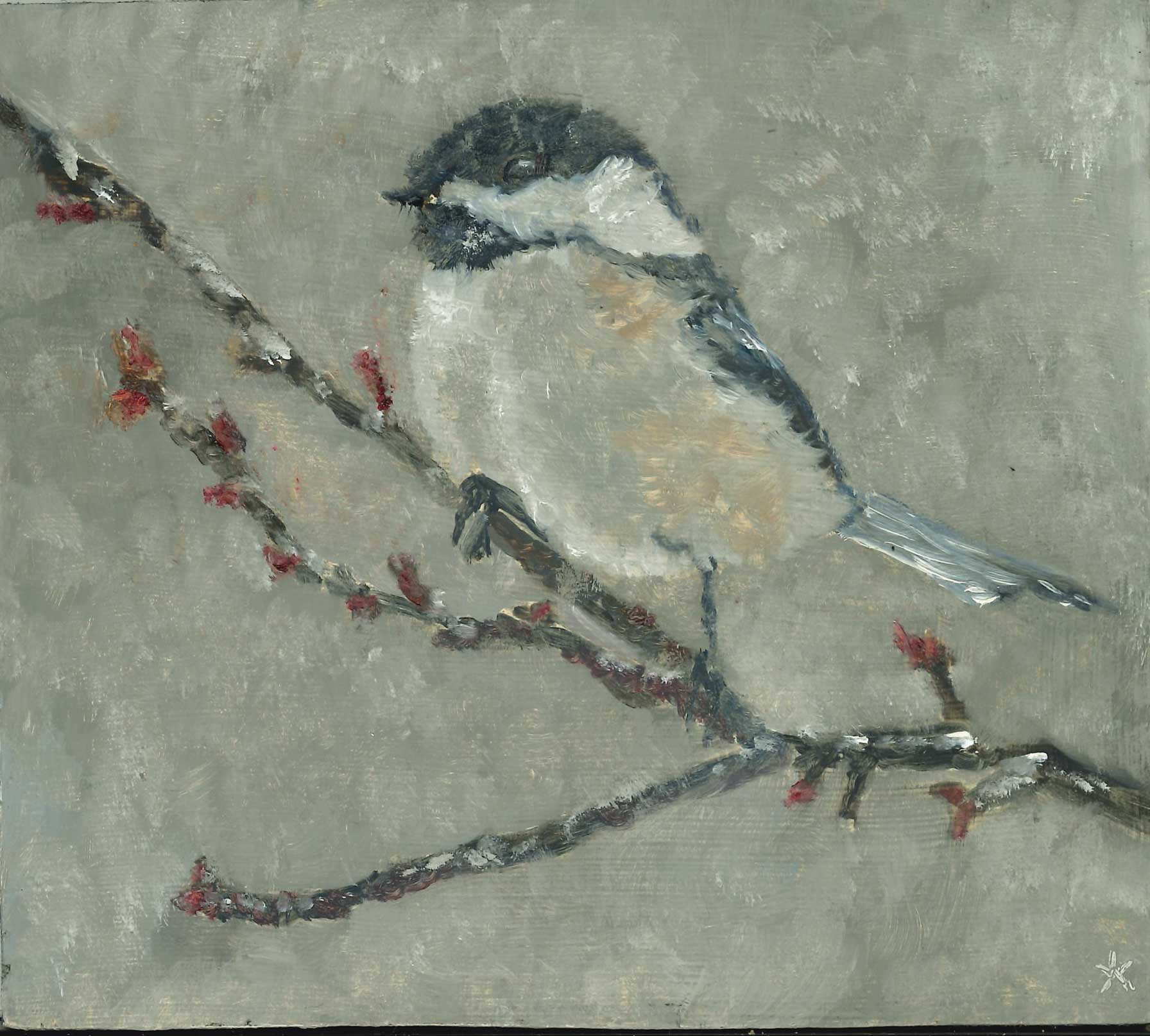 Chickadee Contemplating