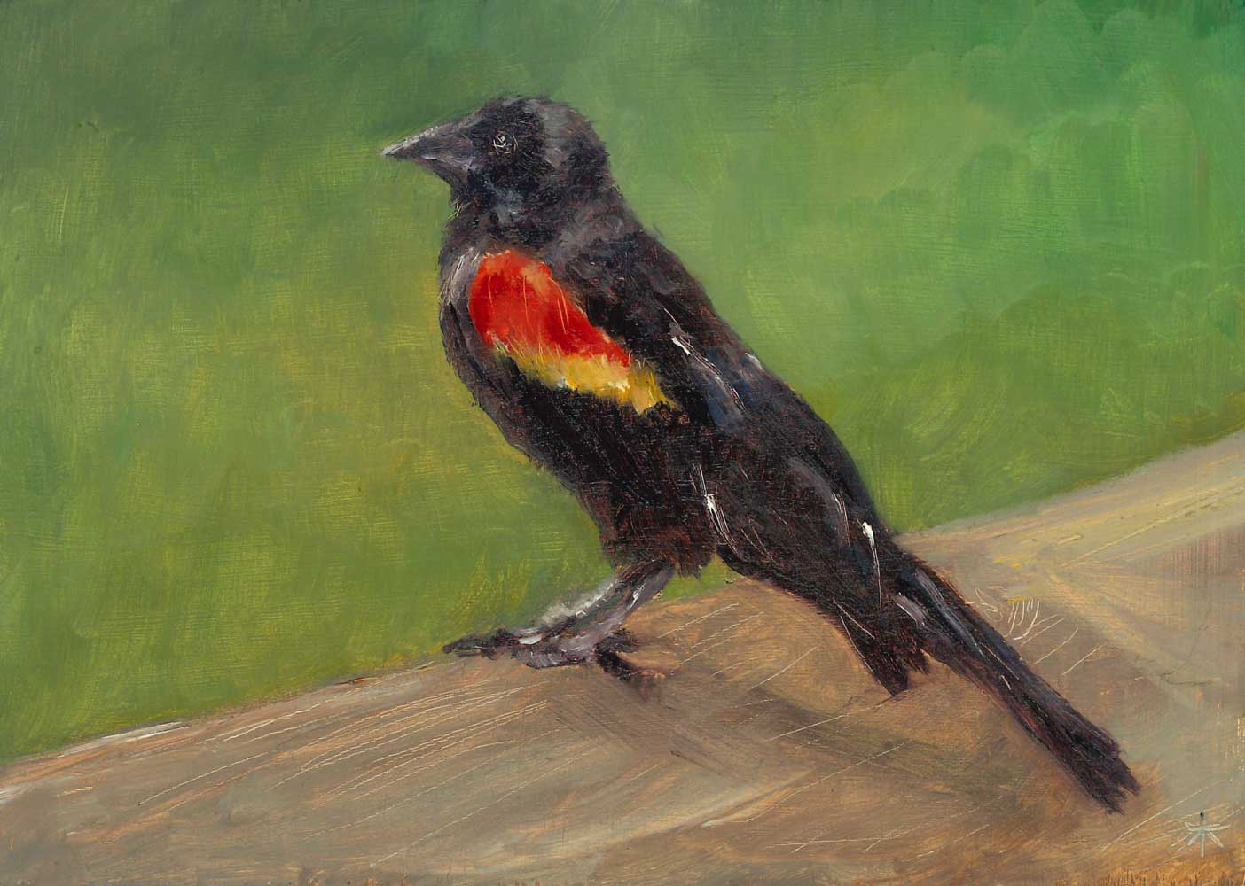 Rio Wright – Red Winged Blackbird