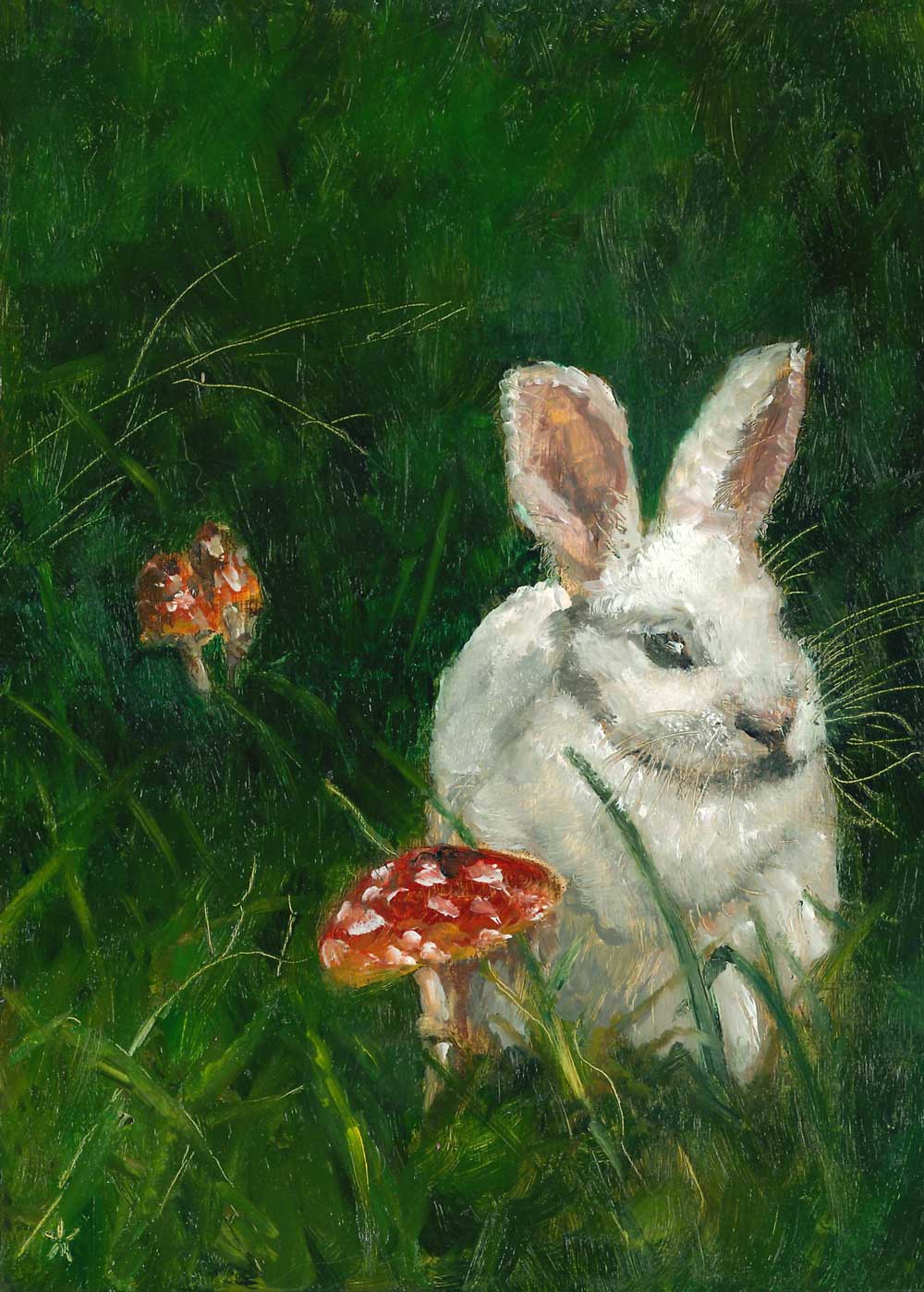 The Magical Mushrooms