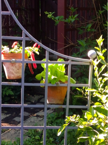 Spruce Up Your Garden with a Purple Arbor
