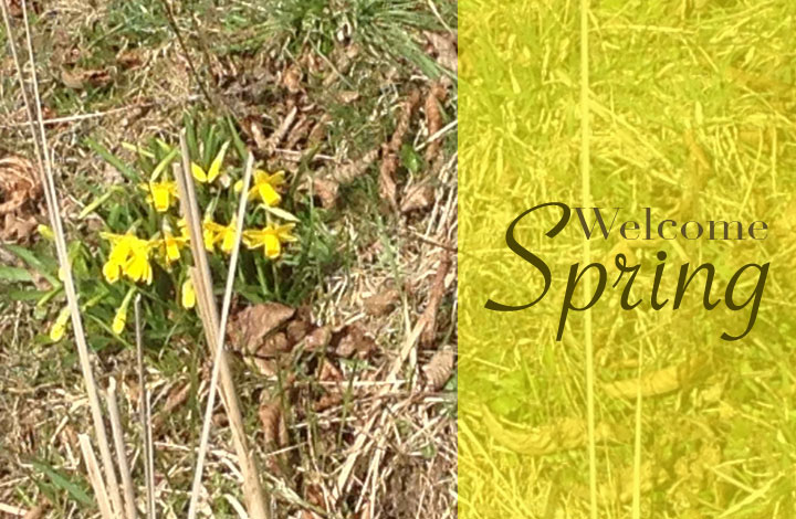 Welcome Spring