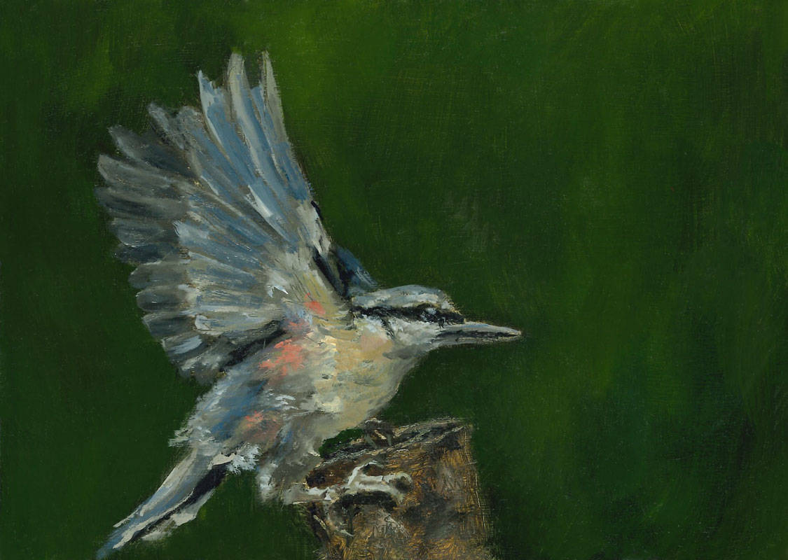 Nuthatch Departure