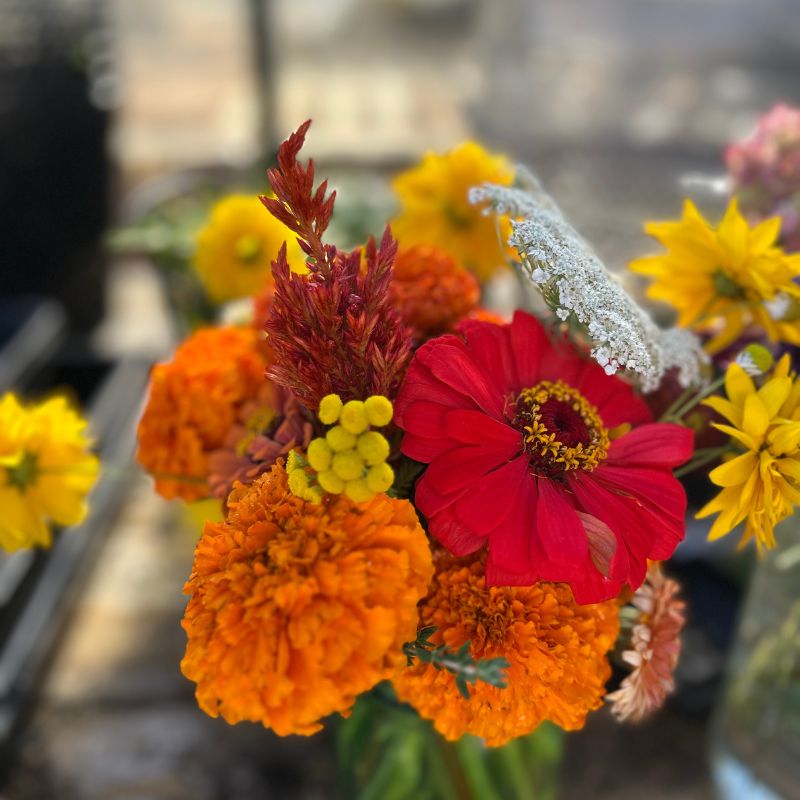 Bringing the Garden to Your Doorstep