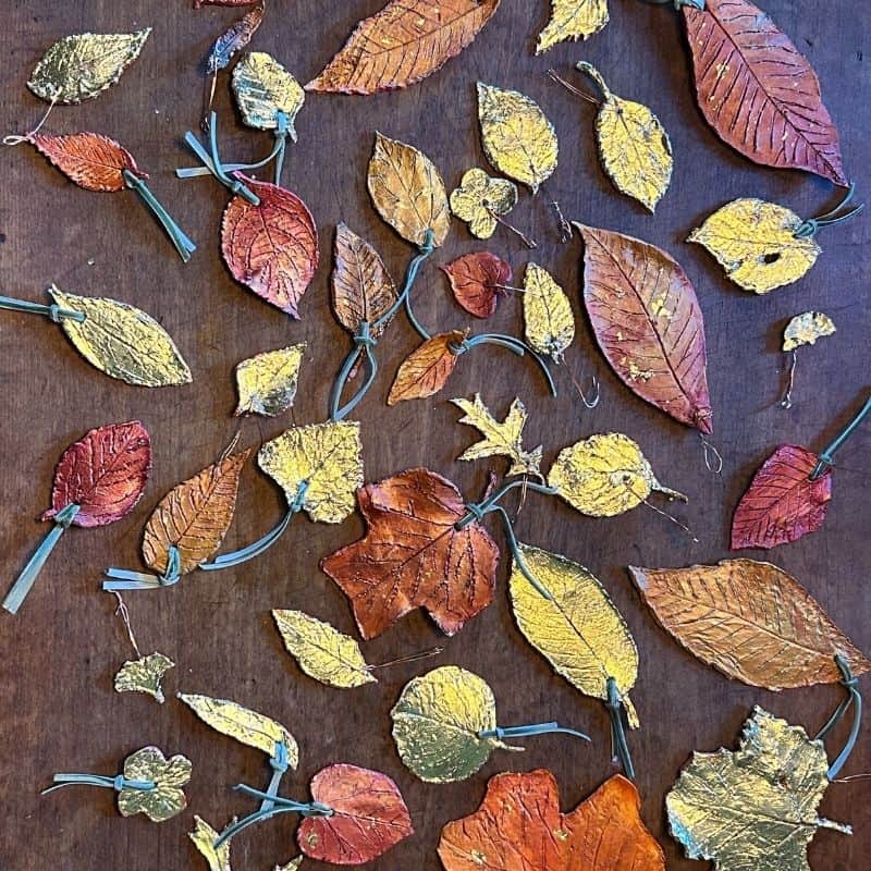 Gilded Leaves & The Whirlwind Mind 🌿