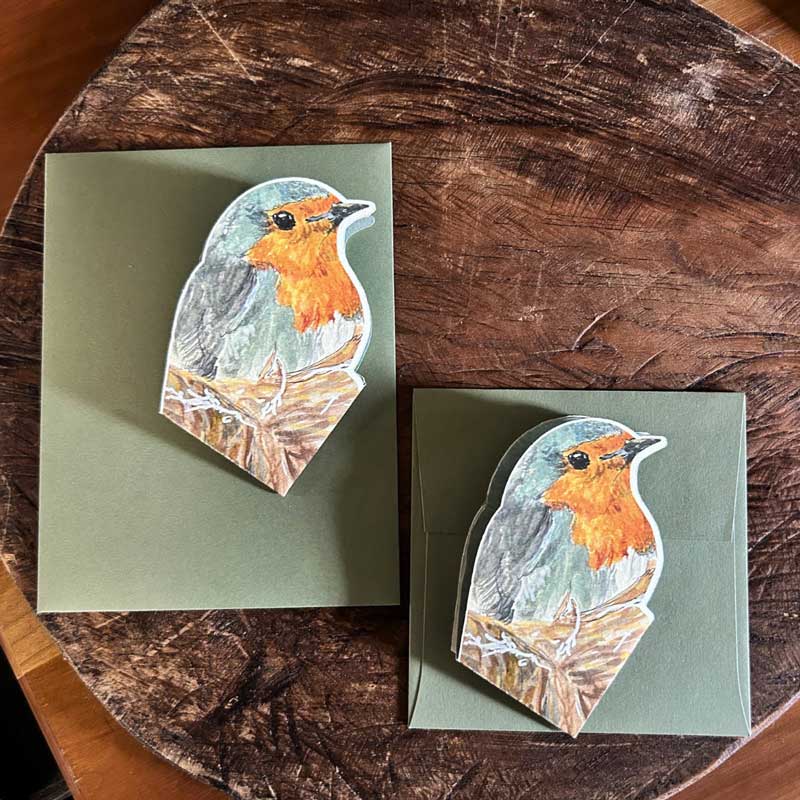 May Birds & Morning Songs